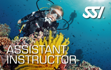 assistant instructeur ssi bleu passion guadeloupe reserve cousteau