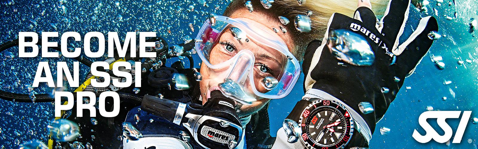 Devenir pro bleu passion guadeloupe reserve cousteau ssi