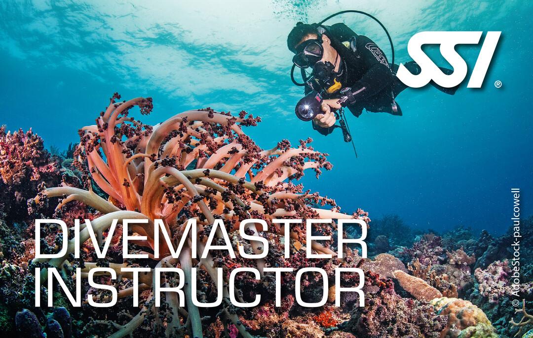 Divemaster instructor bleu passion guadeloupe reserve cousteau 1