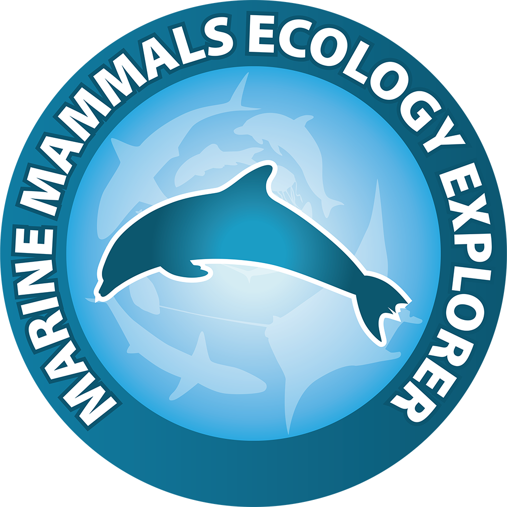 marine mammals explorer bleu passion guadeloupe reserve cousteau