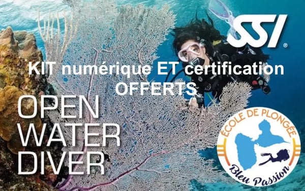 Formation niveau1 plonge e guadeloupe reserve cousteau