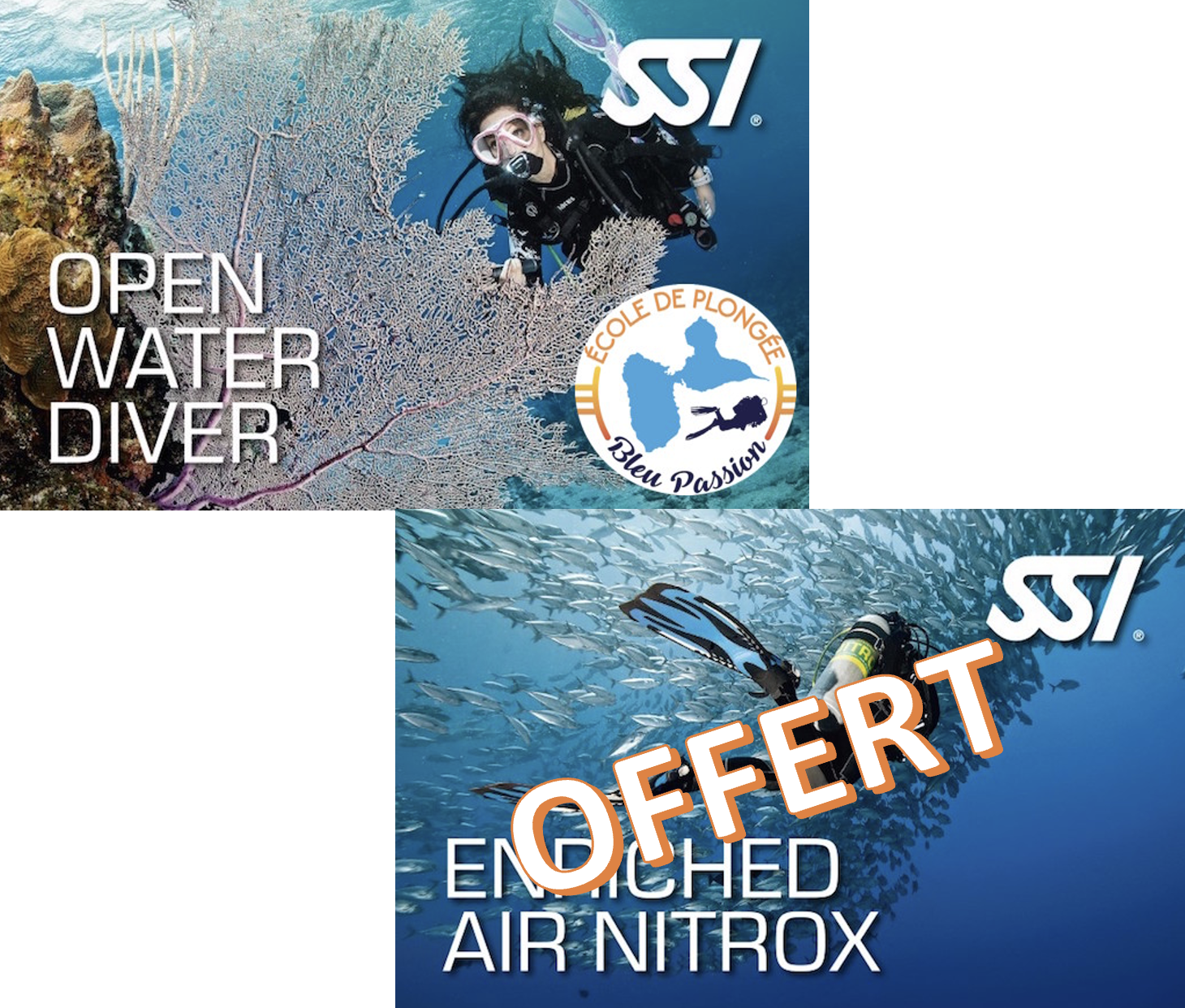 Formation openwaterdiver bleu passion guadeloupe reserve cousteau