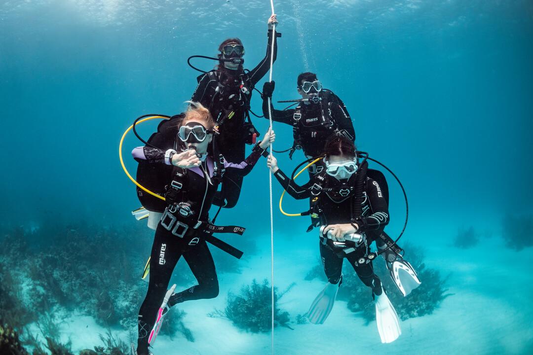 fun dives bleu passion guadeloupe reserve cousteau