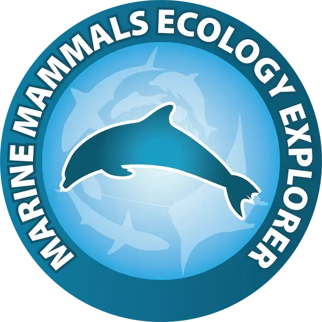 marine-mammals-explorer-enfnats