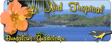 gite nidtropical bleu passion guadeloupe reserve cousteau