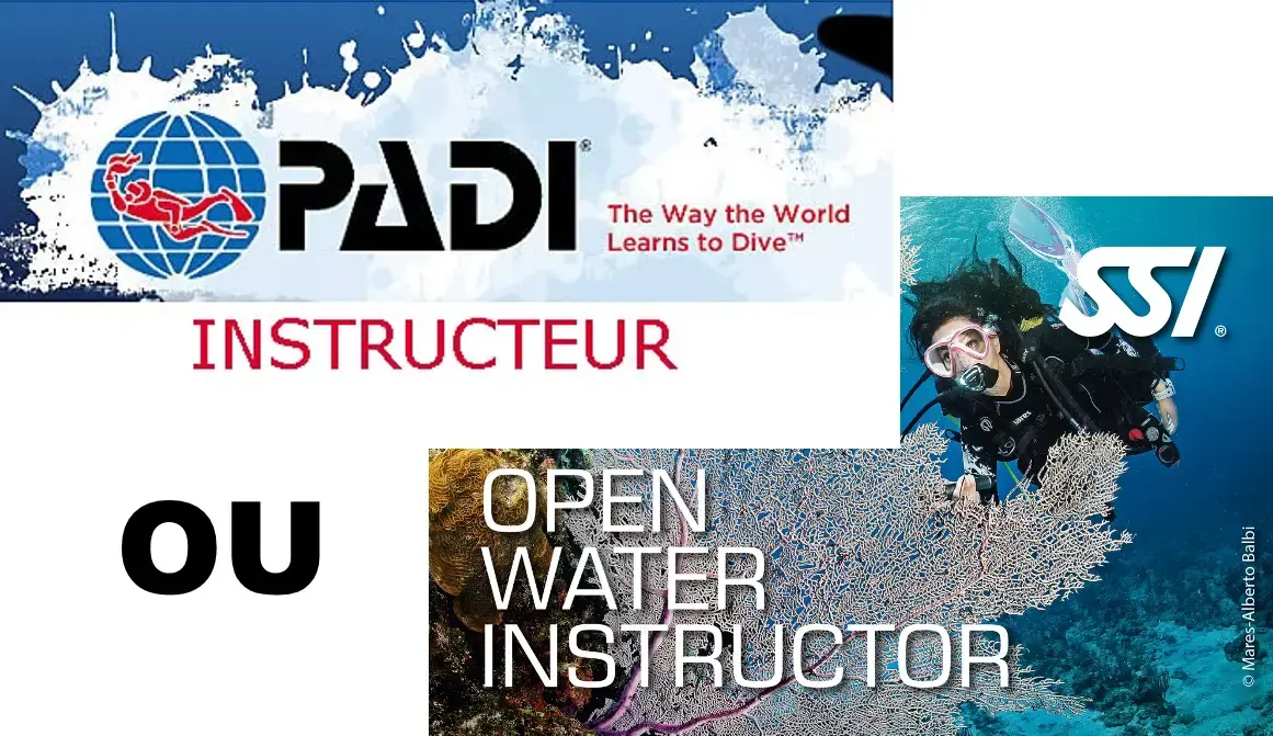 Instructeur réserve cousteau Guadeloupe