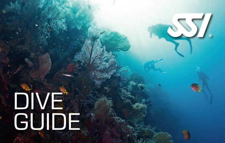 Guide de palanquée réserve cousteau Guadeloupe