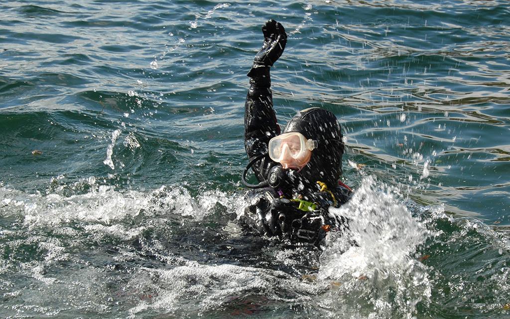 diver stress rescue réserve cousteau Guadeloupe