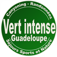 vert intense bleu passion guadeloupe reserve cousteau